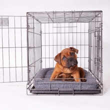 Hammertone Grey Steel Mobile Pet Crate